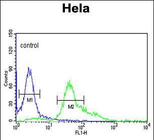 FC - S100A6 Antibody (C-term) AP7346b